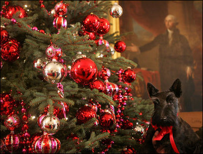 Miss Beazley, with George Washington looking on, gets a closer look at the Christmas decorations Tuesday, Nov. 29, 2006, in the East Room of the White House.