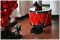 Barney and Miss Beazley show their best sides to the camera during the making of the 2006 Barney Cam, Wednesday, Nov. 29, 2006, in the East Wing of the White House. White House photo by Kimberlee Hewitt