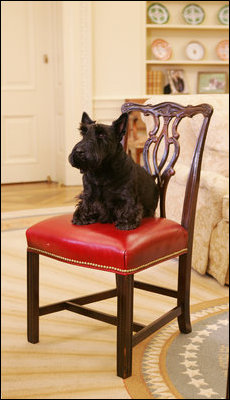 Barney listens to President George W. Bush during a meeting in the Oval Office, Friday, Dec. 1, 2006, to discuss plans for the 2006 Barney Cam.