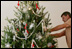 A decorator carefully places ornaments on the official White House Christmas tree Tuesday, Nov. 28, 2006, an 18-foot Douglas fir in the Blue Room of the White House. 