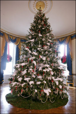 The official White House Christmas tree, an 18-foot Douglas fir tree donated by the Crystal Springs Tree Farm of Lehighton, Pa., stands in the Blue Room of the White House, Thursday, Nov. 30, 2006.