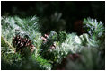 Pinecones rest in a forest of garland as evergreen branches are sculpted for the White House holiday season.