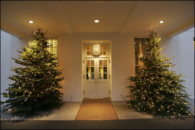 Sheltered from any possible winter snow beneath the West Wing lobby entrance, two trees glow with warm hospitality for all visitors this holiday season.