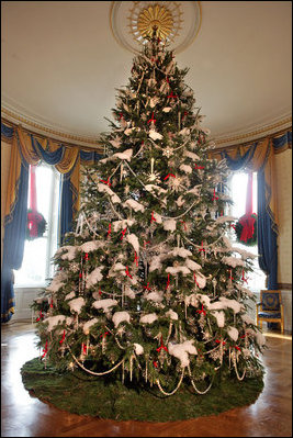 This year’s official White House Christmas Tree is a Douglas Fir donated by the Botek family, owners of The Crystal Spring Tree Farm in Lehighton, Pa. The 18-foot, 6-inch tree stretches from floor to ceiling in the Blue Room. The branches are topped with snow, accented with red ribbons and decorated with crystals and iridescent glass ornaments.