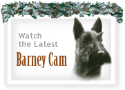 Barney Cam VI: Holiday in the National Parks