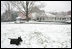 Barney finds a winter wonderland as he come out to play on the South Lawn of the White House, Wednesday, Dec. 5, 2007.