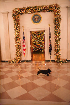 Miss Beazley runs through the Cross Hall on the State Floor of the White House, Wednesday, Nov. 28, 2007, to see the decorations in the State Dining Room.