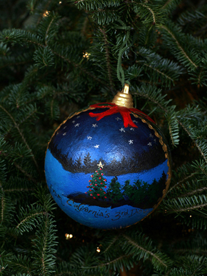 California Congressman Dan Lungren selected artist Judith Bravo to decorate the 3rd District's ornament for the 2008 White House Christmas Tree.