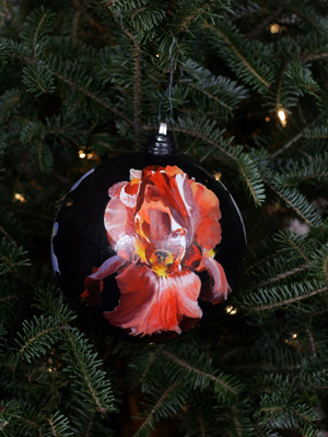 Tennessee Congressman Marsha Blackburn selected artist Joan C. Lawler to decorate the 7th District's ornament for the 2008 White House Christmas Tree