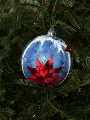 Pennsylvania Congressman Jim Gerlach selected artist Rachel Sturino to decorate the 6th District's ornament for the 2008 White House Christmas Tree.