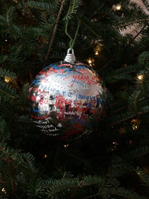 Connecticut Congressman Chris Shays selected artist Ann Chernow to decorate the 4th District's ornament for the 2008 White House Christmas Tree.