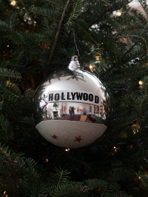 California Senator Barbara Boxer selected artist Steven DeChristopher Jr. to decorate the State's ornament for the 2008 White House Christmas Tree.
