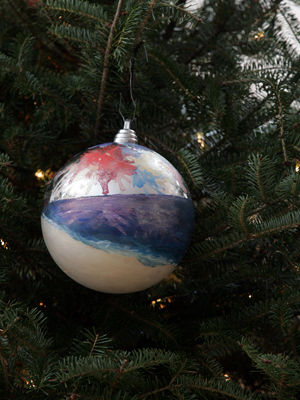 New Jersey Congressman Chris Smith selected artist Caitlin McCarthy to decorate the 4th District's ornament for the 2008 White House Christmas Tree.