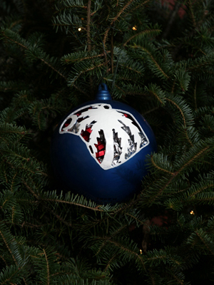 South Carolina Congressman Joe Wilson selected artist Randall Hammonds to decorate the 2nd District's ornament for the 2008 White House Christmas Tree.