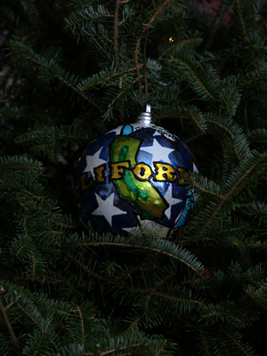 California Congresswoman Anna Eshoo selected artist Felipe Virrueta to decorate the 14th District's ornament for the 2008 White House Christmas Tree.