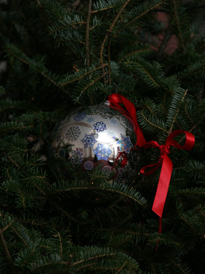 Michigan Congressman Pete Hoekstra selected artist Steve Frykholm to decorate the 2nd District's ornament for the 2008 White House Christmas Tree.