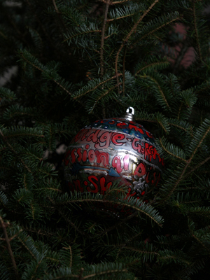 Illinois Congresswoman Jan Schakowsky selected artist Ralitza Treneva to decorate the 9th District's ornament for the 2008 White House Christmas Tree.