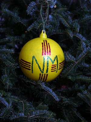New Mexico Congressman Tom Udall selected artist Briana White to decorate the 3rd District's ornament for the 2008 White House Christmas Tree.