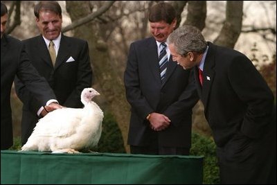 President George W. Bush participates in the annual ceremonial pardoning in the Rose Garden, on November 26, 2002.
