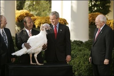 President George W. Bush and Vice President Dick Cheney participate in the annual pardoning of the National Turkey in the Rose Garden Nov. 17, 2004.
