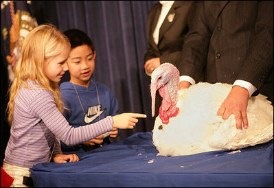 President George W. Bush invites the children of Clarksville Elementary School on stage to pet "Marshmallow", the National Thanksgiving Turkey, during the Tuesday, November 22, 2005 pardoning ceremony, held in the Eisenhower Executive Office Building in Washington.