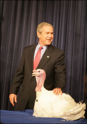 President George W. Bush pets "Marshmallow", the National Thanksgiving Turkey, Tuesday, November 22, 2005, during the Turkey Pardoning Ceremony, held in the Eisenhower Executive Office Building in Washington.