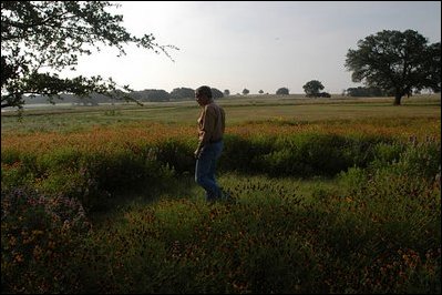President Bush takes a walk among wild flowers at his Ranch in Crawford, Texas, May 23, 2003. The President and Mrs. Bush are replacing planted grass and landscaping by re-introducing the natural local fauna. .. . .we're right now cultivating 50 acres of little blue stem which was the original prairie grass that would have been there,. said Laura Bush of their efforts during the 2004 Spring White House Garden Tour preview.