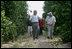 President Bush walks with Pat McKenna through a hurricane-battered orange grove in Lake Wales, Fla., Sept. 29, 2004. Located in the heart of Florida's citrus country, almost half of the McKenna brothers' orange grove was destroyed by the hurricanes.