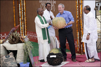 President George W. Bush has fun with some of the produce grown at the Acharya N.G. Ranga Agriculture University as he spends time there Friday, March 3, 2006, in Hyderabad, India.