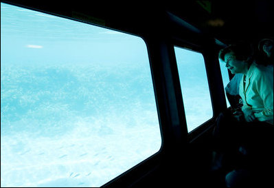 Mrs. Laura Bush looks out from underwater windows during her coral reefs and ocean conservation tour Saturday, May 17, 2008, in Sharm El Sheikh, Egypt.