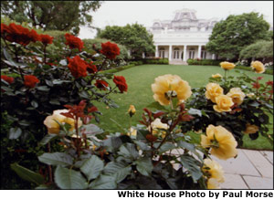 Pictured is the Rose Garden viewed from the West Wing. To the left is the West Colonnade. White House photo by Paul Morse