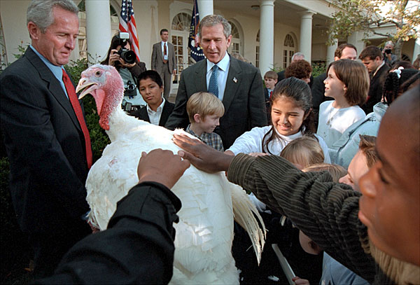 After pardoning a turkey from the Thanksgiving dinner table, President George W. Bush invites children to pet Liberty, the freed bird. "Through the generations, our country has known its share of hardships. And we've been through some tough times, some testing moments during the last months," said President Bush. "Yet, we've never lost sight of the blessings around us: the freedoms we enjoy, the people we love, and the many gifts of our prosperous land.". White House photo by Susan Sterner.