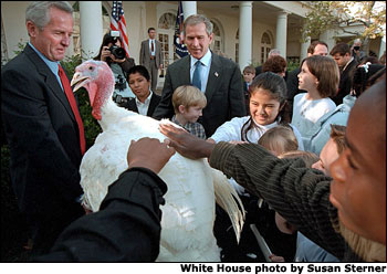 After pardoning a turkey from the Thanksgiving dinner table, President <a href="/news/releases/2001/11/20011119-5.html">George W. Bush</a> invites children to pet Liberty, the freed bird. "Through the generations, our country has known its share of hardships. And we've been through some tough times, some testing moments during the last months," said President Bush. "Yet, we've never lost sight of the blessings around us: the freedoms we enjoy, the people we love, and the many gifts of our prosperous land.". White House photo by Susan Sterner.