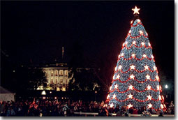 Leading the 2001 Christmas Pageant of Peace program, President George W. Bush and Mrs. Laura Bush preside over the lighting ceremonies for the National Christmas Tree, a 40-foot Colorado blue spruce. White House photo by Susan Sterner.
