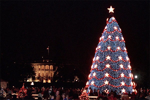Leading the 2001 Christmas Pageant of Peace program, President George W. Bush and Mrs. Laura Bush preside over the lighting ceremonies for the National Christmas Tree, a 40-foot Colorado blue spruce. White House photo by Susan Sterner.