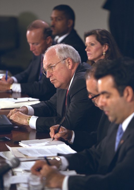 Vice President Dick Cheney listens to the concerns of panelists at the Helping Small Business discussion session at the President's Economic Forum at Baylor University in Waco, Texas on Tuesday August 13, 2002. 