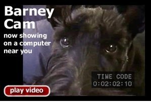 Barney Cam is now showing on a computer near you.