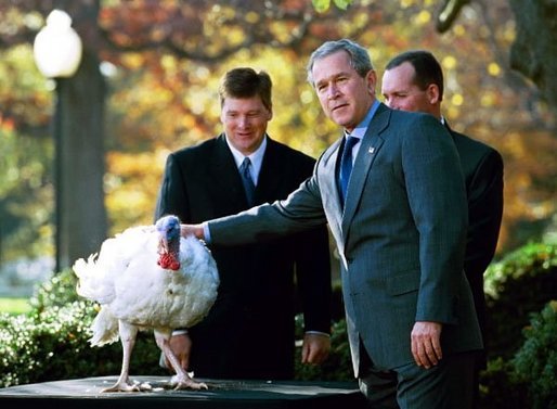 President George W. Bush pardons the Thanksgiving turkey during a Rose Garden ceremony Monday, Nov. 24, 2003. "I appreciate you joining me to give this turkey a presidential pardon," said the President in his remarks. "Stars is a very special bird with a very special name. This year, for the first time, thousands of people voted on the White House website to name the national turkey, and the alternate turkey. Stars and Stripes beat out Pumpkin and Cranberry. And it was a neck-to-neck race." White House photo by Paul Morse