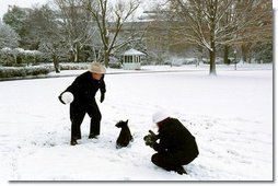 President Bush and Barney take a few moments on the South Lawn to enjoy the season's first snowfall.  White House photo by Tina Hager