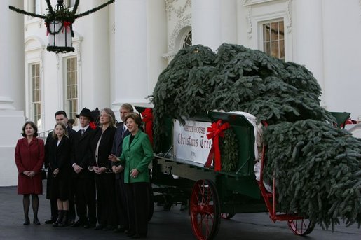 Laura Bush receives the official White House Christmas tree delivered on a horse drawn wagon Monday, Nov. 29. 2004. The 18.5 foot Noble fir donated by John and Carol Tillman of Rochester, Wash., will be decorated and displayed in the Blue Room. White House photo by Susan Sterner
