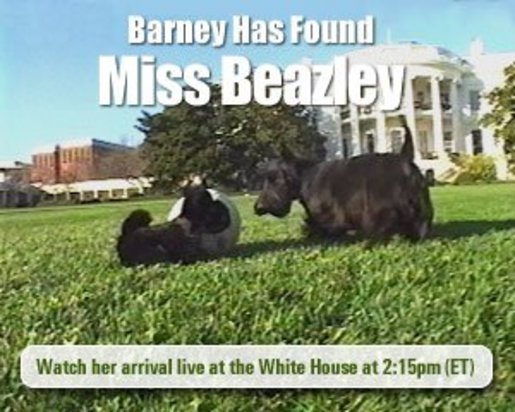 Click here to watch Barney's recent search to find Miss Beazley.
