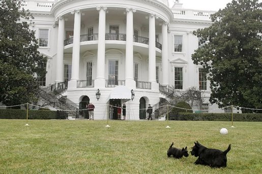 Miss Beazley and Barney meet on the South Lawn. It doesn't take long for them to get acquainted. White House photo by Susan Sterner.