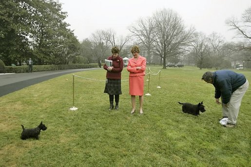 Laura Bush and her Chief-of-Staff Andi Ball watch as Miss Beazley sizes up Barney, who's playing with his old friend, White House Horticulturalist Dale Haney. White House photo by Eric Draper.