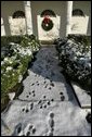 Running out to play in the snow, Barney and Miss Beazley leave a trail of footprints in the Rose Garden, Friday, Dec. 9, 2005. White House photo by Kimberlee Hewitt