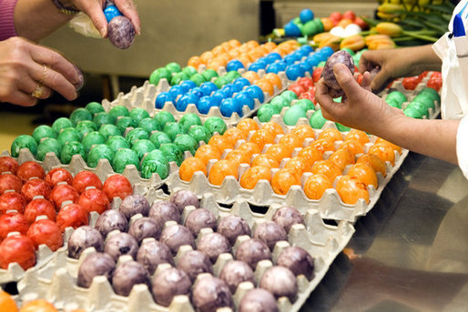 White House staff carefully inspect the hundreds of colorful Easter Eggs, Friday, April 14, 2006 in the White House kitchen, being prepared for Monday's annual White House Easter Egg Roll on the South Lawn of the White House. White House photo by Shealah Craighead