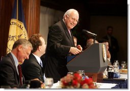Vice President Dick Cheney delivers remarks at the Gerald R. Ford Journalism Prize Luncheon, Monday, June 19, 2006 at the National Press Club in Washington, D.C.  White House photo by David Bohrer