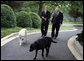 Vice President Dick Cheney is joined by his dogs Dave, left, and Jackson, right, during an interview with John King of CNN, Thursday, June 22, 2006, at the Vice President’s Residence at the Naval Observatory in Washington D.C. White House photo by David Bohrer