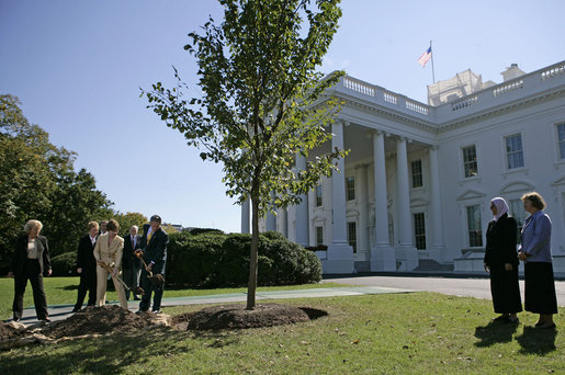 President George W. Bush and Laura Bush take part in the planting of three elm trees on the north grounds of the White House Monday, Oct. 2, 2006. The trees, cultivated by the National Park Service, replace trees recently lost to age, winds and Dutch elm disease. The new trees were grown to be resistant to the disease. White House photo by Eric Draper