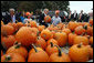 President George W. Bush picks through a patch of pumpkins at a roadside stand with owner Bill Gaulmyer in Richmond, Va., Thursday, Oct. 19, 2006. White House photo by Paul Morse