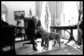 President Gerald Ford with his golden retriever, Liberty, in the Oval Office in 1974. Photo courtesy Gerald R. Ford Presidential Libary 